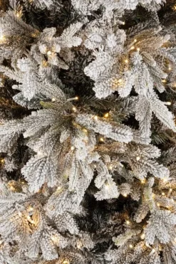 Alberi Natale Con Luci><noscript><img width=