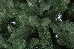 Alberi Natale Premium>Bizzotto ALBERO FREJUS H180-1623RAMI