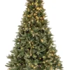 Alberi Natale Con Luci>Bizzotto ALBERO FREJUS H210-2544RAMI 500LED