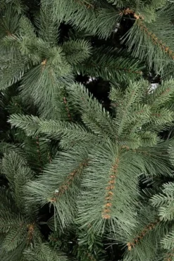 Alberi Natale Premium>Bizzotto ALBERO HUBBARD H180-1711RAMI