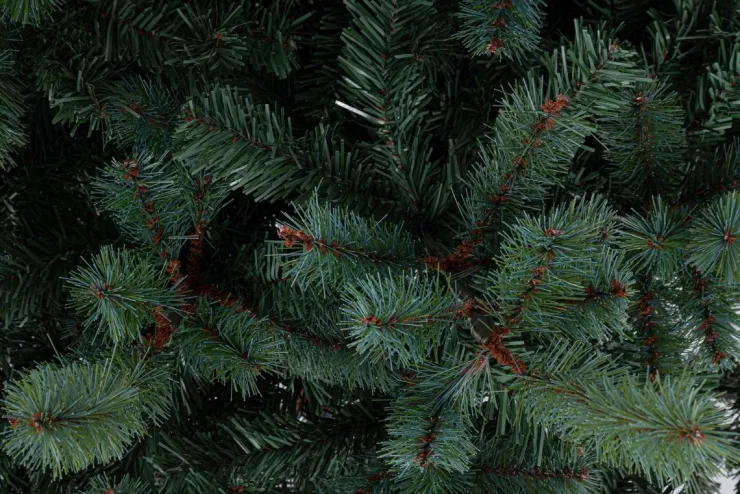 Alberi Natale Premium>Bizzotto ALBERO SERRONE GLAUCO H180-1068RAMI