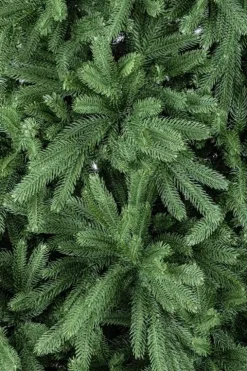 Alberi Natale Premium>Bizzotto ALBERO TIROLO H240-1270RAMI