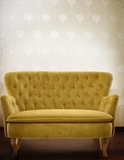 Divani><noscript><img width=