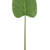 Rami E Corone>Bizzotto FOGLIA CALLA TOMMY VERDE H115CM