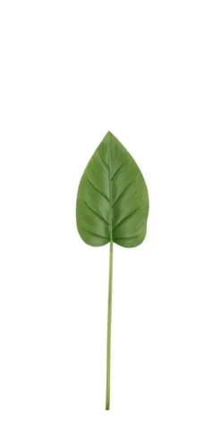 Rami E Corone>Bizzotto FOGLIA CALLA TOMMY VERDE H72CM