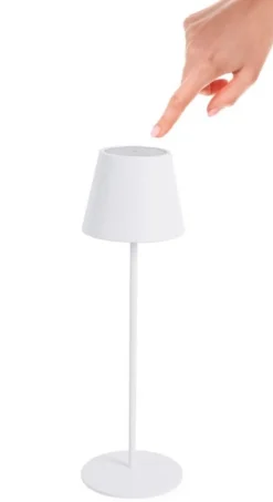 Illuminazione><noscript><img width=