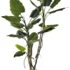 Piante Artificiali>Bizzotto PIANTA ALOCASIA C-VASO 26FOGLIE H200