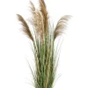 Piante Artificiali>Bizzotto PIANTA AUSTORDERIA PAMPAS C-VASO H170