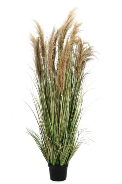 Piante Artificiali>Bizzotto PIANTA AUSTORDERIA PAMPAS C-VASO H180