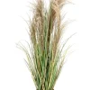 Piante Artificiali>Bizzotto PIANTA AUSTORDERIA PAMPAS C-VASO H90
