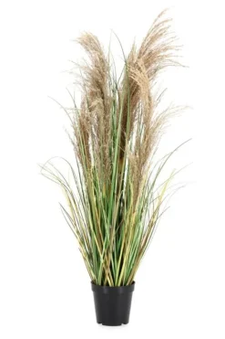 Piante Artificiali>Bizzotto PIANTA AUSTORDERIA PAMPAS C-VASO H90