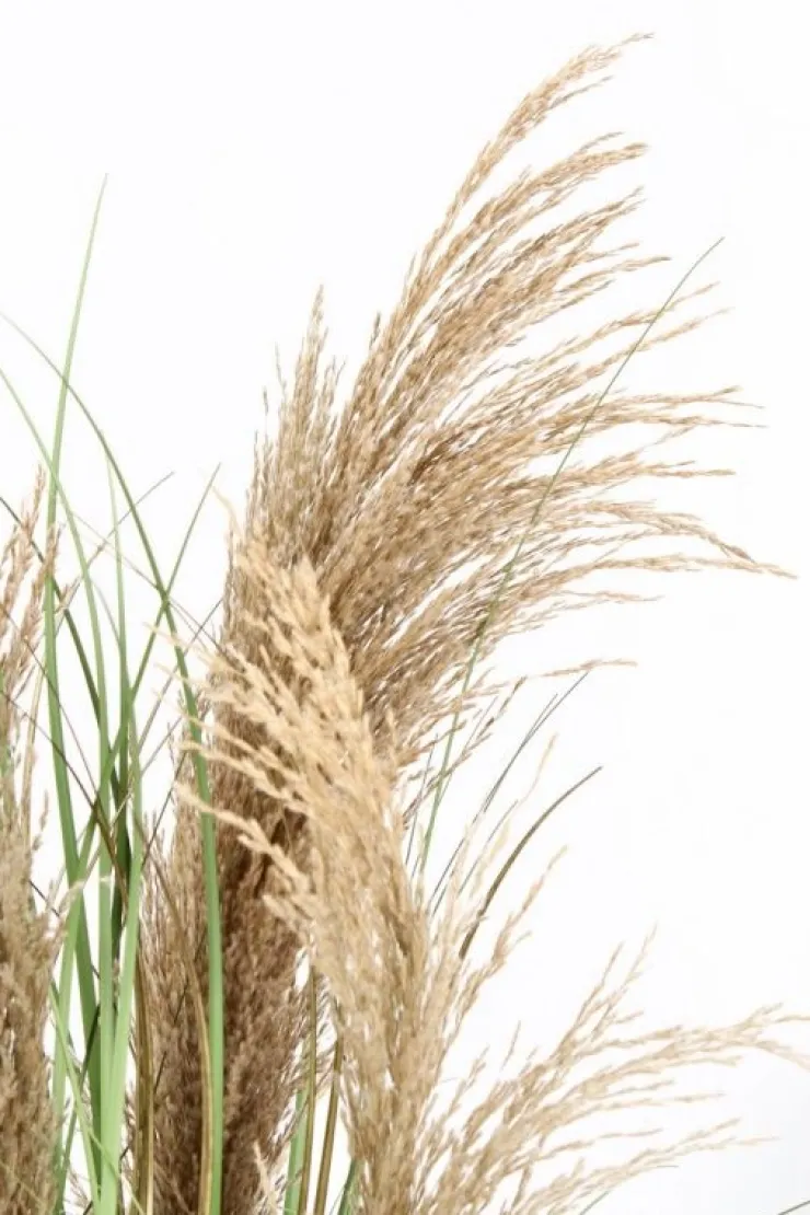 Piante Artificiali>Bizzotto PIANTA AUSTORDERIA PAMPAS C-VASO H90
