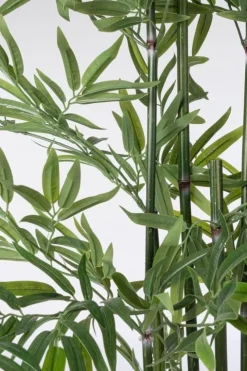 Piante Artificiali>Bizzotto PIANTA BAMBOO C-VASO H150