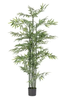 Piante Artificiali>Bizzotto PIANTA BAMBOO C-VASO H190