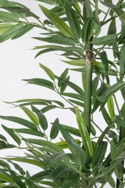 Piante Artificiali>Bizzotto PIANTA BAMBOO C-VASO H130