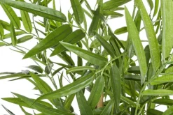 Piante Artificiali>Bizzotto PIANTA BAMBOO C-VASO H130CM