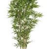Piante Artificiali>Bizzotto PIANTA BAMBOO C-VASO H185CM