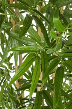 Piante Artificiali>Bizzotto PIANTA BAMBOO C-VASO H185CM