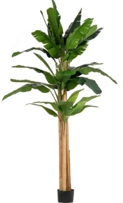 Piante Artificiali>Bizzotto PIANTA BANANO C-VASO 30FOGLIE H320