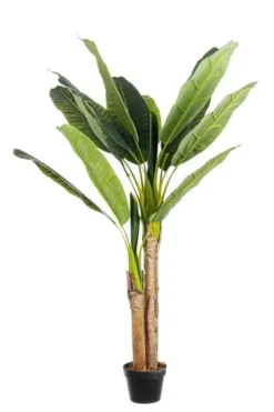 Piante Artificiali>Bizzotto PIANTA BANANO C-VASO 14FOGLIE H135