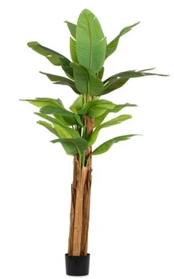 Piante Artificiali>Bizzotto PIANTA BANANO C-VASO 22FOGLIE H240