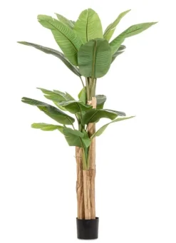Piante Artificiali>Bizzotto PIANTA BANANO C-VASO 20FOGLIE H200