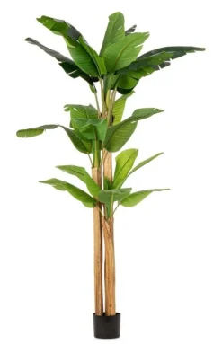 Piante Artificiali>Bizzotto PIANTA BANANO C-VASO 24FOGLIE H280
