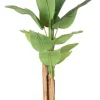 Piante Artificiali>Bizzotto PIANTA BANANO C-VASO 13FOGLIE H150