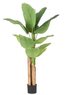 Piante Artificiali>Bizzotto PIANTA BANANO C-VASO 13FOGLIE H150