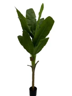 Piante Artificiali>Bizzotto PIANTA BANANO C-VASO H210