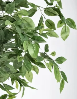 Piante Artificiali>Bizzotto PIANTA BANYAN C-VASO 2480FOGLIE H210