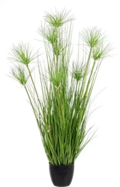 Piante Artificiali>Bizzotto PIANTA DESERTO VERDE C-VASO X9F H120