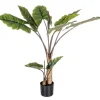Piante Artificiali>Bizzotto PIANTA DIEFFENBACHIA C-V 10FOGLIE H134