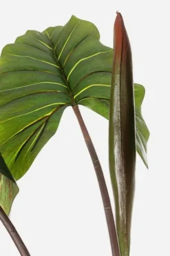 Piante Artificiali>Bizzotto PIANTA DIEFFENBACHIA C-V 10FOGLIE H134