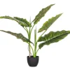 Piante Artificiali>Bizzotto PIANTA DIEFFENBACHIA C-VASO 7FOGLIE H78