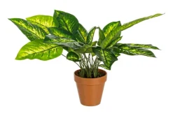 Piante Artificiali>Bizzotto PIANTA DIEFFENBACHIA C-VASO 30FOGLIE H45