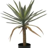 Piante Artificiali>Bizzotto PIANTA DRACAENA C-VASO H62