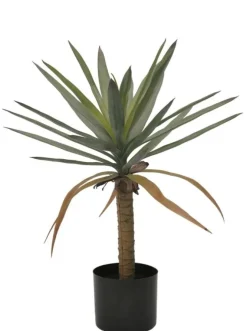 Piante Artificiali>Bizzotto PIANTA DRACAENA C-VASO H62