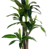 Piante Artificiali>Bizzotto PIANTA DRACANEA C-VASO 65FOGLIE H110