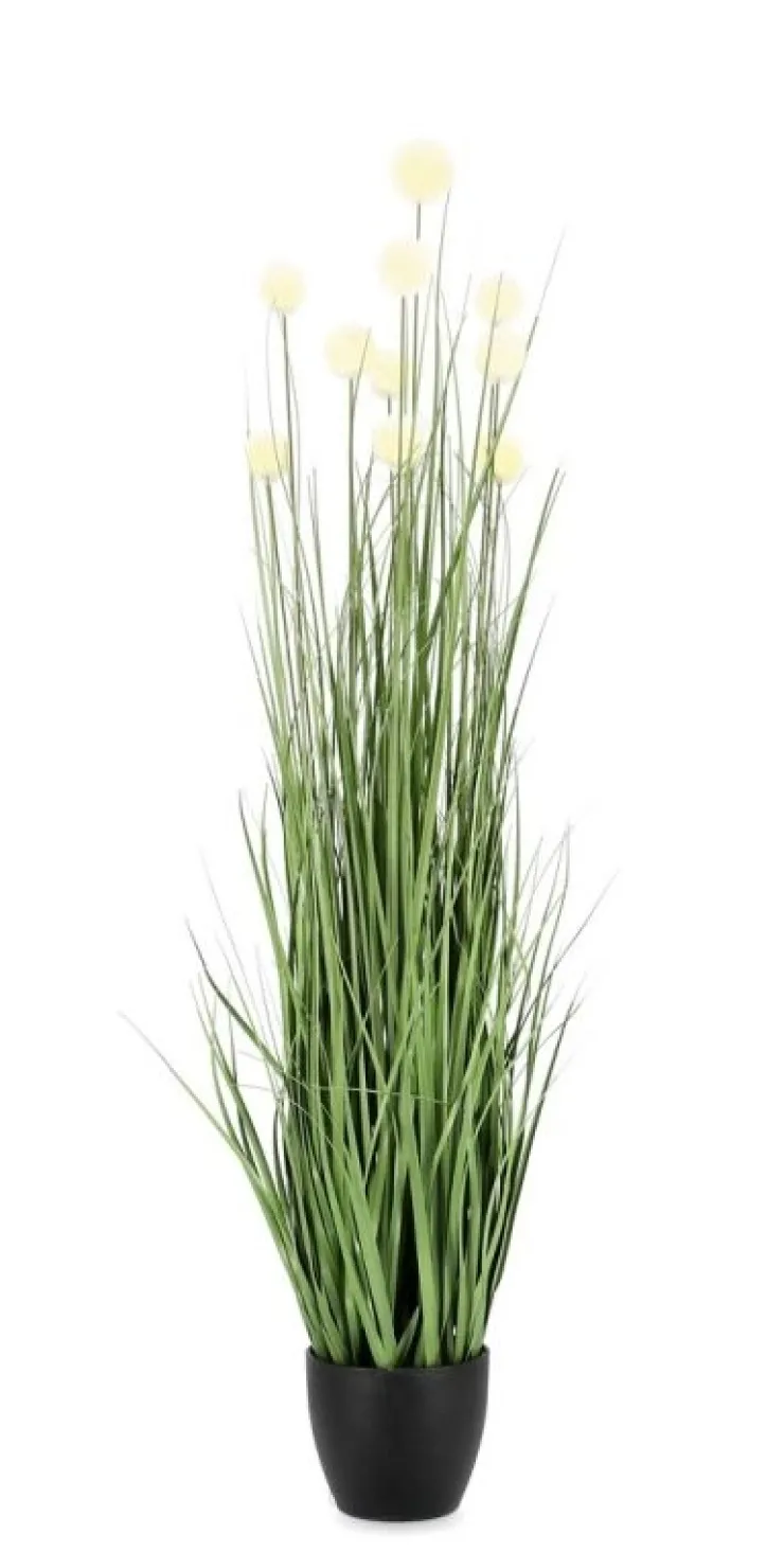 Piante Artificiali>Bizzotto PIANTA ERIOPHORUM BIANC C-VASO X10F H110