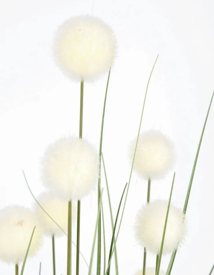 Piante Artificiali>Bizzotto PIANTA ERIOPHORUM BIANC C-VASO X10F H110