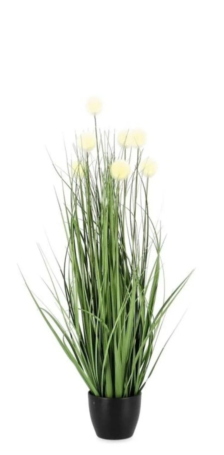 Piante Artificiali>Bizzotto PIANTA ERIOPHORUM BIANCO C-VASO X7F H68