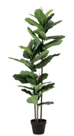 Piante Artificiali><noscript><img width=