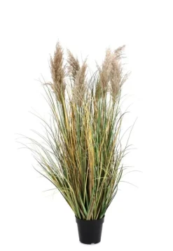 Piante Artificiali>Bizzotto PIANTA GYNERIUM PAMPAS C-VASO H120