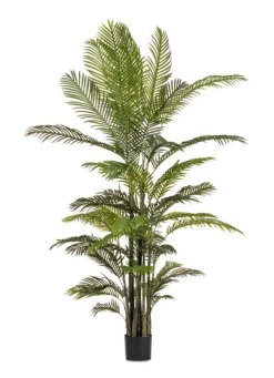 Piante Artificiali>Bizzotto PIANTA KENZIA C-VASO 33FOGLIE H210