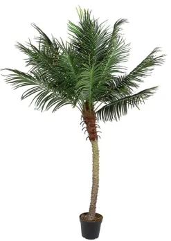 Piante Artificiali>Bizzotto PIANTA PALMA C-VASO 18FOGLIE H210