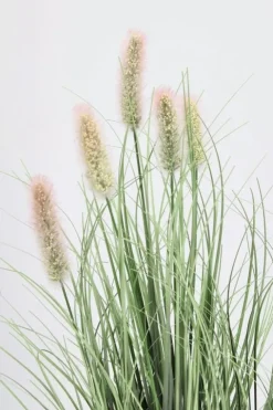 Piante Artificiali>Bizzotto PIANTA PENNISETUM C-VASO H61
