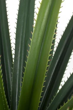 Piante Artificiali>Bizzotto PIANTA RUSCACEAE C-VASO 28FOGLIE H90CM