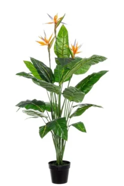 Piante Artificiali>Bizzotto PIANTA STERLITZIA C-V 25FOGLIE X3F H150