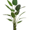 Piante Artificiali>Bizzotto PIANTA STRELITZIA C-VASO 13FOGLIE H185